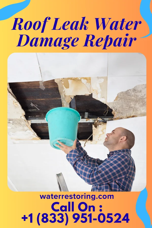 Roof Leak Water Damage Repair in DuPont, WA